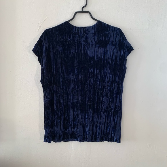 Zara Velvet Top - Picture 2 of 4